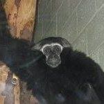 William Halliwell Photo 3
