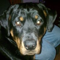 Rhonda Hunter Photo 5