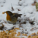 Robin Keeling Photo 18