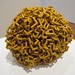 James Friedman Photo 46