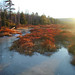 William Rothrock Photo 32