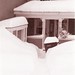 Raymond Randolph Photo 27