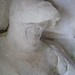 Mary Knight Photo 51