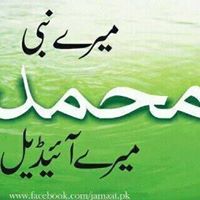 Muhammad Riaz Photo 5