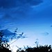 Dawn Newby Photo 25