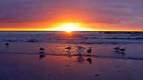 Beth Buck Photo 25