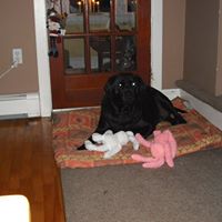 Wade Myers Photo 3