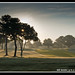 John Creek Photo 26