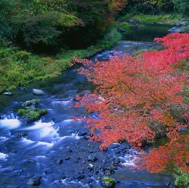 Lynn Blackwell Photo 9