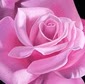 Karen Peebles Photo 9