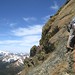 Brad Ingalls Photo 29