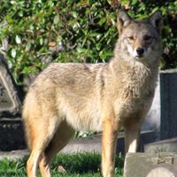 Gary Caulkins Photo 1