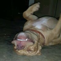 Carlos Baxter Photo 4