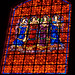 Dolores Glass Photo 19