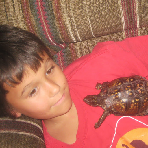 Krishna Brown Photo 12