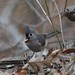 Debbie Tufts Photo 31