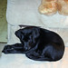Elizabeth Boyer Photo 41