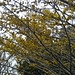 Hazel Hill Photo 40