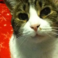Beth Beauchamp Photo 7