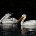 Marianne Marks Photo 27