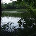 Trent Wood Photo 41