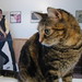Claire Ford Photo 39