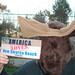 Heather Brownfield Photo 17
