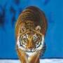 Patrick Skaggs Photo 24