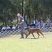 Glenn Belton Photo 19