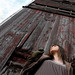 Susie Peck Photo 27