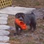 Carolyn Compton Photo 23