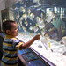 David Fish Photo 49