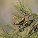 Kelly Finch Photo 39