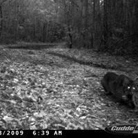 Mark Bostic Photo 1