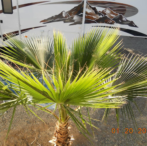 Barbara Farley Photo 12