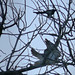 Bill Hawk Photo 33