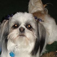 Beverly Erickson Photo 4