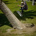 Jesse Newsome Photo 28
