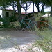 June Bianchi Photo 13