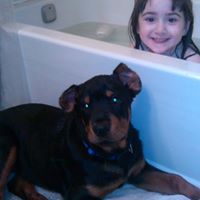 Stephanie Kibler Photo 3