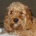 Charlie Meyers Photo 9