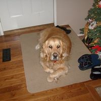 Laurie Hanna Photo 6