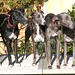 Christine Faber Photo 29