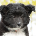 Sarah Borders Photo 35