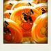 Donald Sweet Photo 24