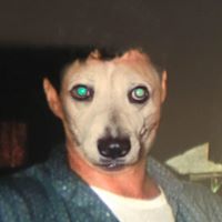 Gavin Shea Photo 4