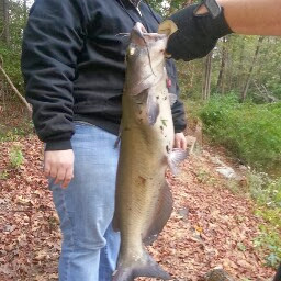 Todd Hoke Photo 8