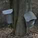 Judy Maples Photo 29