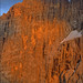 Monte Wall Photo 19