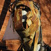 Rusty Knight Photo 29
